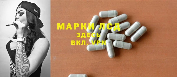 сатива Абинск