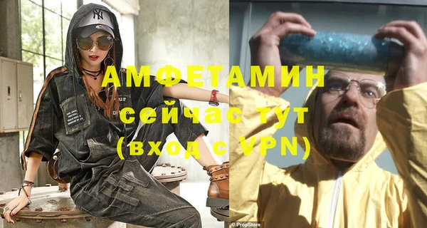 сатива Абинск