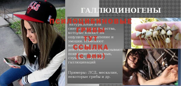 сатива Абинск