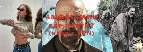 сатива Абинск