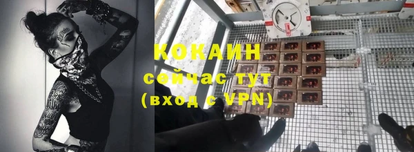 сатива Абинск